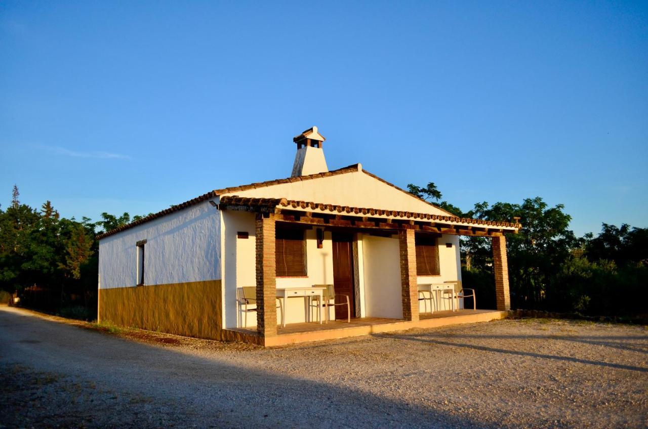 Cortijo Mesa De La Plata Guest House Arcos de la Frontera Exterior photo