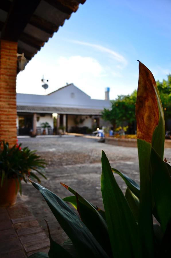 Cortijo Mesa De La Plata Guest House Arcos de la Frontera Exterior photo